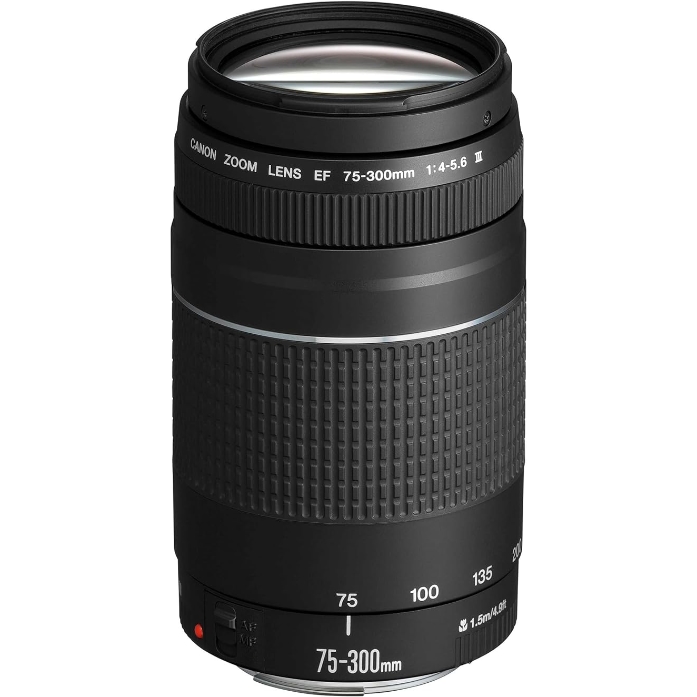 【网一海淘】Canon 佳能 长焦镜头 EF 75-300mm F4.0-5.6 III for EOS（58mm滤镜螺纹 自动对焦）黑色